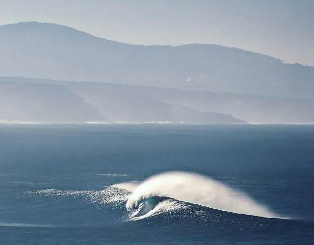 Quinta Dos Leitoes * Ericeira