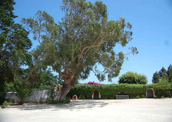 Quinta Dos Leitoes אריסרייה