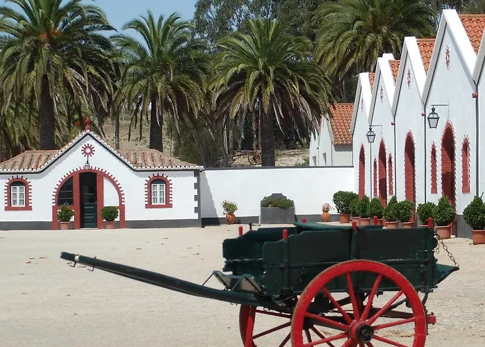 Quinta Dos Leitoes בית נופש