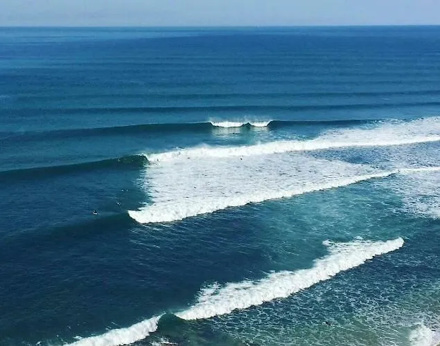 Quinta Dos Leitoes אריסרייה